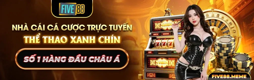 Hình ảnh đại diện Điều Khoản Dịch Vụ K9CC